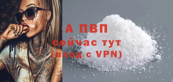 эйфоретик Арсеньев