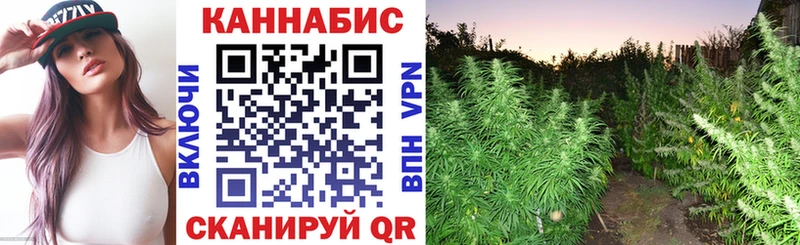 МАРИХУАНА индика  Кологрив 